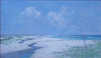 Der Strand bei Kamehama Nui von D. Howard Hitchcock